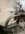 IMG_1544.jpeg