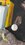 IMG_0260.jpeg