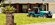 IMG_6278.jpeg