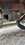 IMG_0265.jpeg