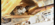 IMG_6486.png