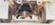 IMG_6483.png