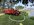 IMG_9559.jpeg