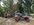 IMG_3049.jpeg