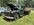 IMG_2567.jpeg