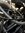 IMG_7637.jpeg