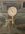IMG_7641.jpeg