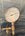 IMG_7643.jpeg
