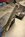 IMG_6652.jpeg