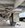IMG_7409.jpeg