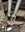 IMG_2249.jpeg