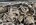 IMG_7938.jpeg