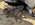 IMG_7943.jpeg