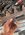 IMG_7957.jpeg