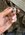 IMG_7960.jpeg