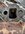 IMG_7961.jpeg