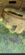IMG_6764.png