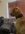 IMG_7458.jpeg