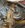 IMG_0116.jpeg