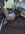 IMG_6237.jpeg