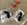 IMG_7666.jpeg