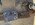 IMG_7669.jpeg