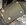 IMG_7670.jpeg