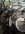 IMG_0325.jpeg
