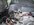IMG_0328.jpeg