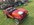 IMG_6398.jpeg
