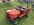 IMG_6400.jpeg
