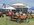 IMG_6377.jpeg