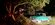 IMG_7813.jpeg