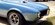 IMG_8290.jpeg