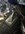 IMG_7615.jpeg