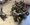 IMG_6737.jpeg