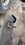IMG_0389.jpeg