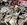 IMG_6744.jpeg