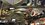 IMG_3922.jpeg
