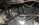 IMG_7724.jpeg