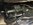 IMG_7725.jpeg