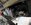 IMG_7726.jpeg