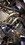 IMG_3927.jpeg