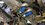 IMG_3966.jpeg