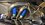 IMG_3969.jpeg