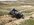 IMG_0742.jpeg