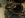 SM465 NP208 (Small).jpg