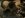SM465 NP208 I (Small).jpg