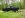 Odin in the woods 1.jpg