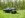 Odin%20test%20drive%20Roosting%20A.jpg
